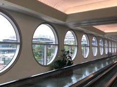 -厦门高崎国际机场-T3航站楼