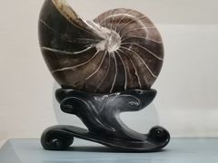 -甘肃地质博物馆