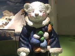 -成都泰迪熊博物馆