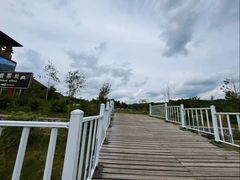 -五营红松林海景区