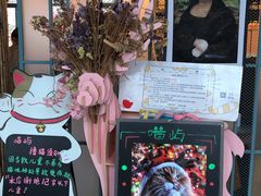 -喵屿·大理花园猫咖