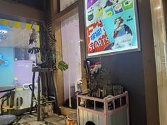 -70cat德文卷毛猫·缅因猫纯种猫舍