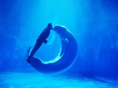 -多彩贵州城极地海洋世界