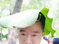 -台儿庄古城