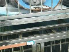 -特一安24小时宠物医院·骨科·中兽医