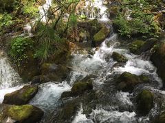 -叠溪松坪沟景区