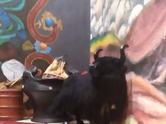 -敏珠拉姆藏餐·南京厨房(富春江东街店)