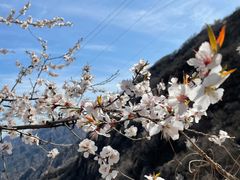 -北京凤凰岭