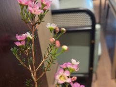 -杭州西湖柳莺里酒店·闻莺厅