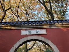 -灵谷景区