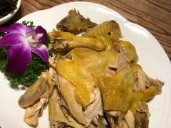 招牌手撕盐焗鸡-金苑酒家·客家菜·广东老字号(万象店)