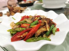 尖椒炒猪脸肉-南庄酒家·海鲜粤菜·25年老字号(环城南路店)