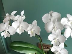 -南堂馆·新川菜(春熙路店)