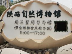 -陕西自然博物馆