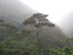 -太和古洞