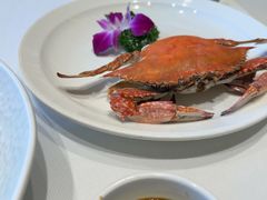 -望海湾海鲜楼·海鲜(河南路店)