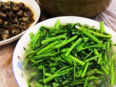 清炒空心菜-老品芳