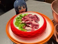 手切鲜羊肉-额尔敦传统涮(体育场店)