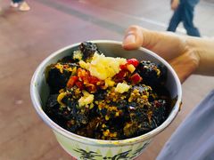 -董顺桃老长沙臭豆腐(步行街店)