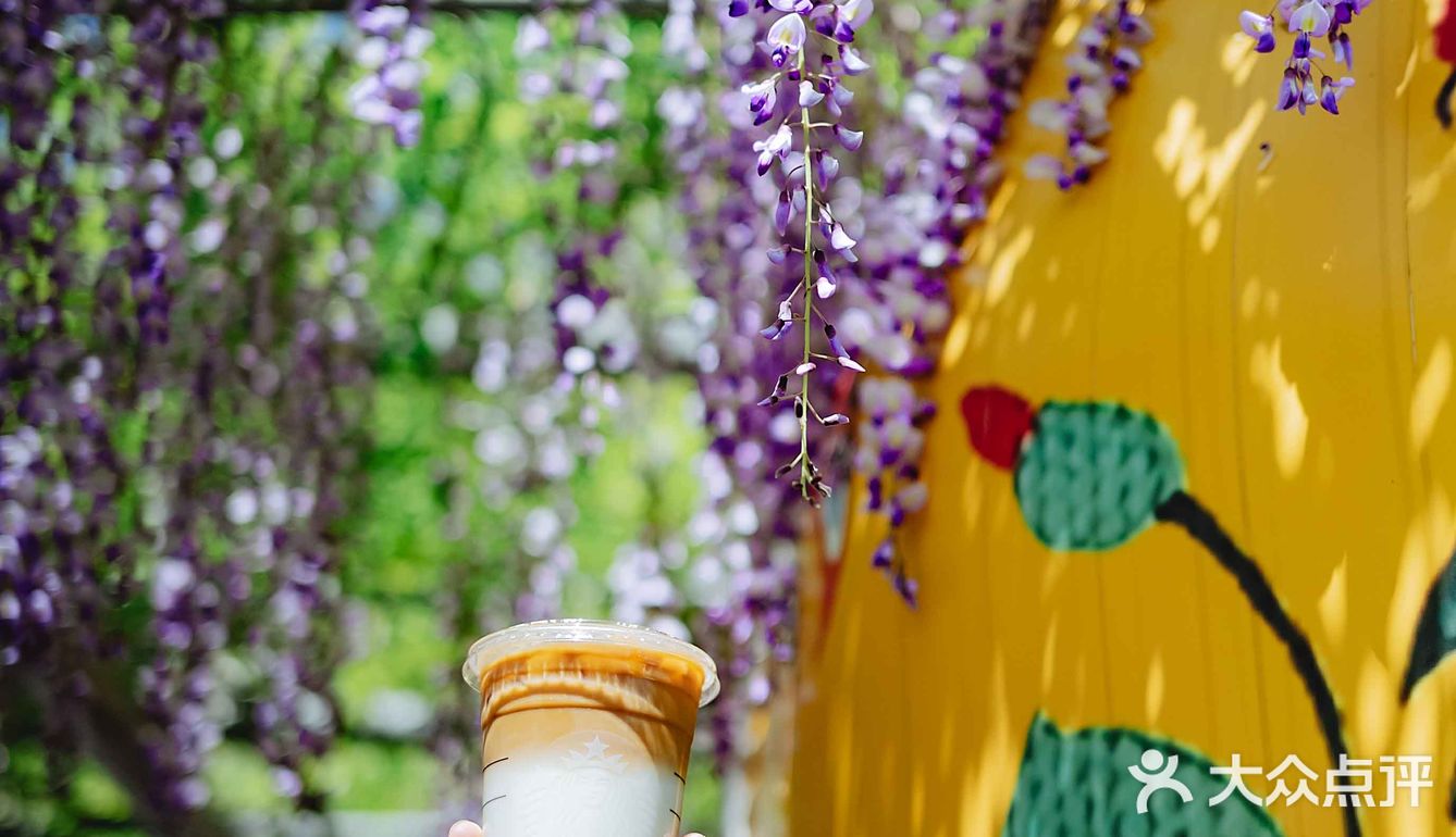 紫藤廊下的星巴克