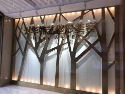 -大华韩艺整形美容医院