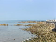 -小麦岛公园