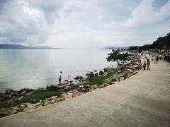 -深圳湾公园(南山区)