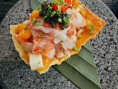-青岚