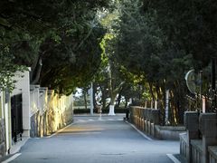 -八大关景区