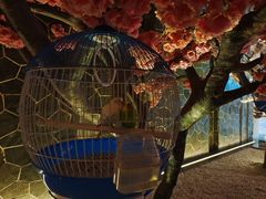 -蓝鲸湾汤泉(包河店)