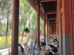 -洛阳白马寺
