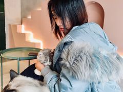 -猫儿山۰猫主题餐厅