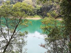 -广州市流溪河国家森林公园