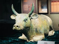 -宁夏博物馆