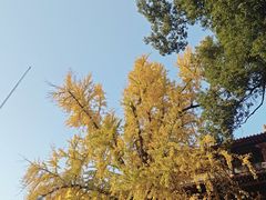 -宝通禅寺