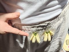 -尧坝古镇