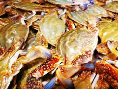 -开海·红岛海鲜虾水饺(石老人店)