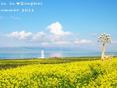 -青海湖国家重点风景名胜区