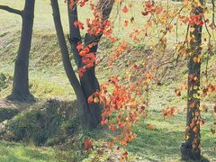 -盘龙城国家考古遗址公园