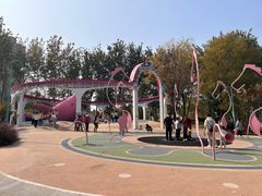 -张店儿童公园