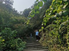 -皇藏峪国家森林公园