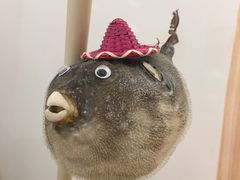 -白日梦奶茶