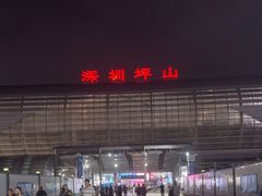 -深圳坪山站