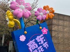 -高东镇樱花园