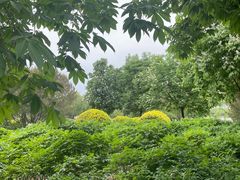 -莲花池公园