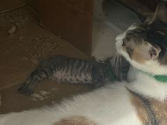 -老丘丘(较场口店)