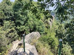 -南山植物园