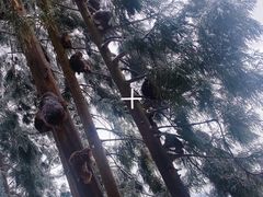 -太阳湾风景区