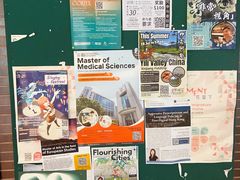 -香港大学