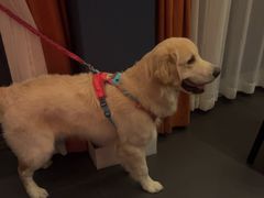 -观宴·品质赣菜(高新大道店)